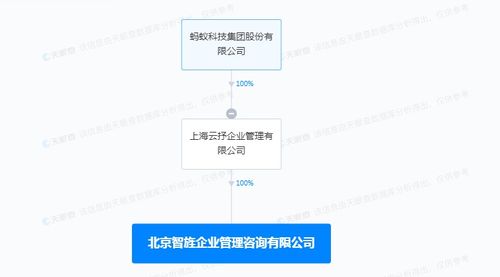 信息系統(tǒng)集成服務(wù) 構(gòu)建數(shù)字化未來的核心引擎